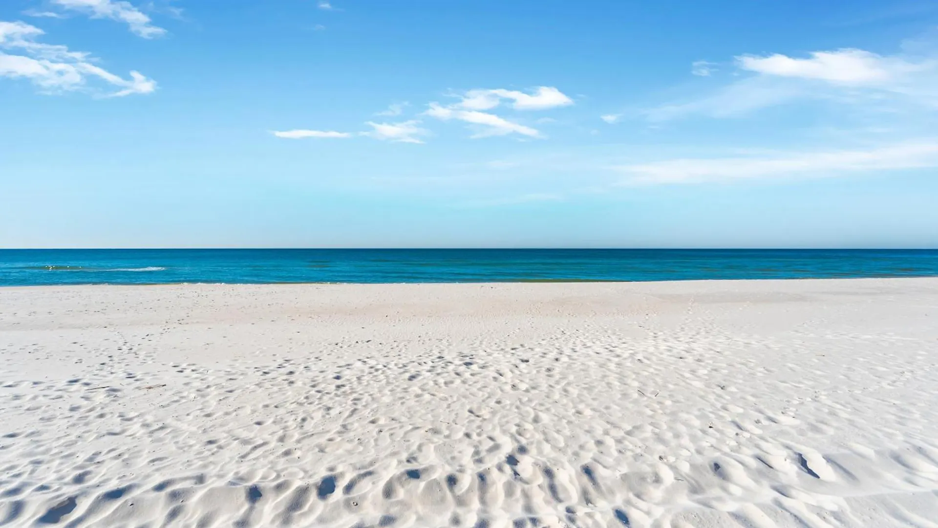 Grand Panama Beach Resort - The Grand 201 - Sunny Shores Panama City Beach Apartment